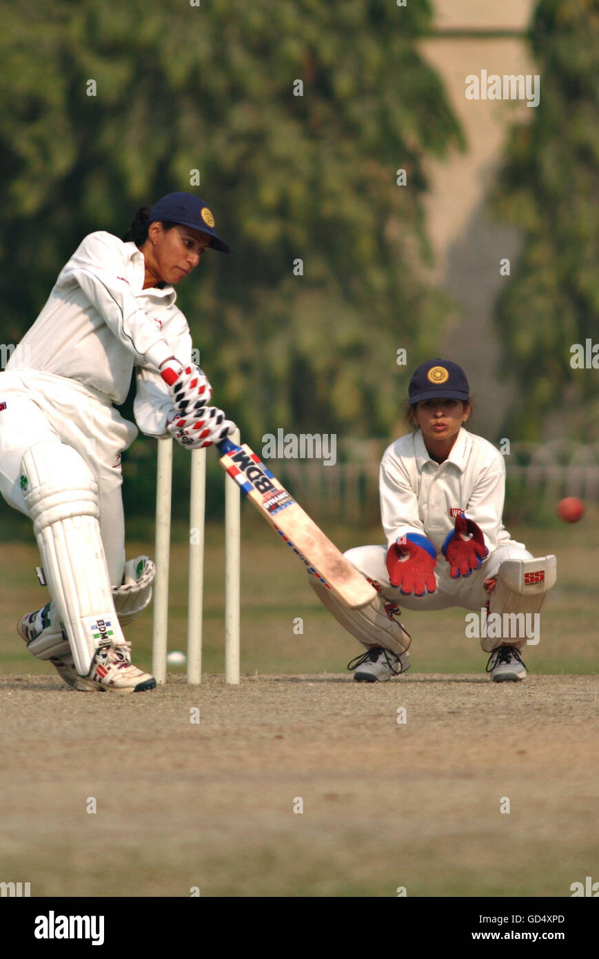 Women playing cricket Stock Photo