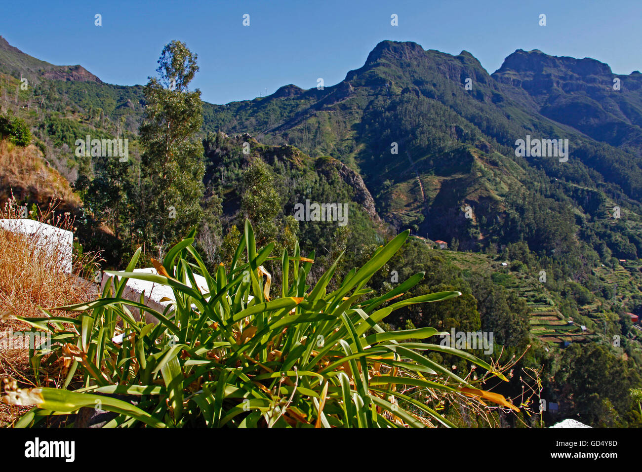 Serre de Agua, Madeira, Portugal Stock Photo