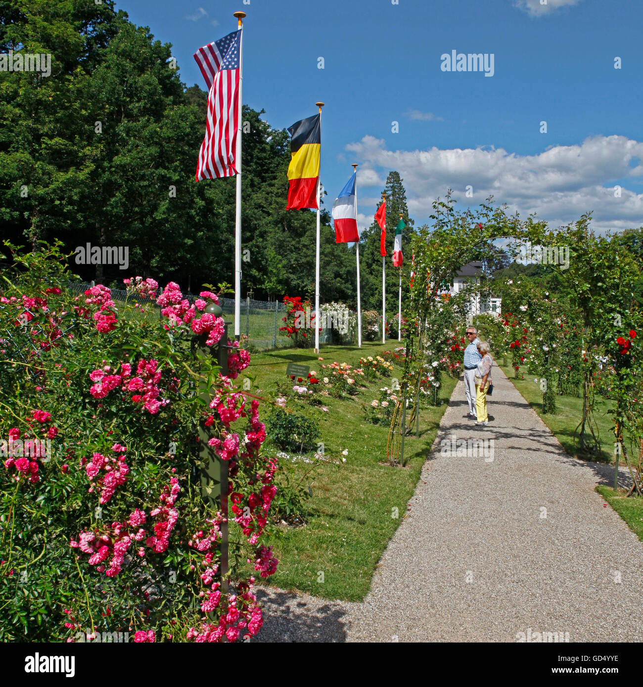 Rose garden, Rosengarten, Beutig, Moltkestrasse, BadenBaden, Baden