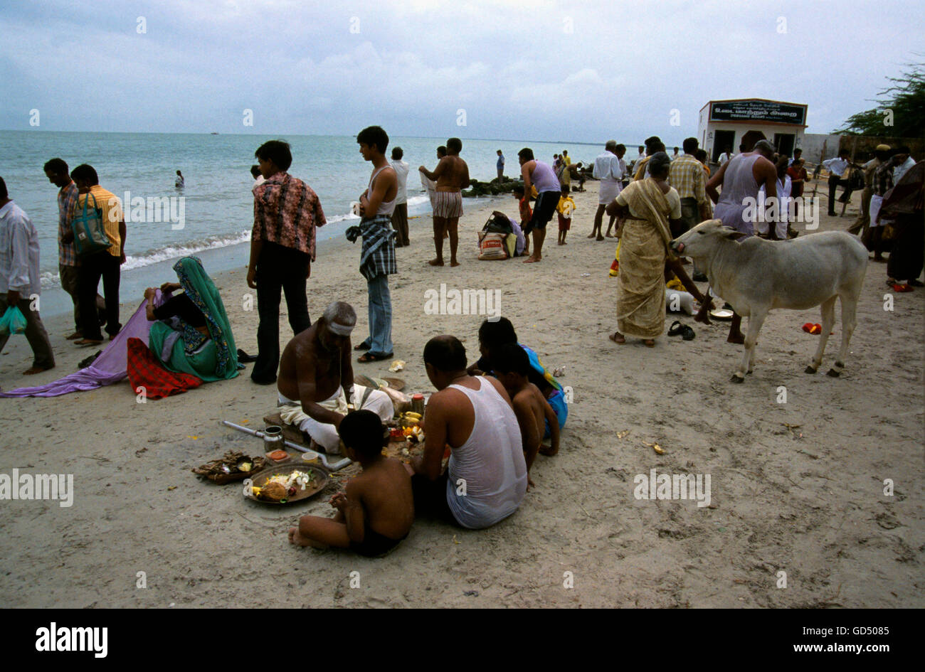 Family Involved In A Pooja Ceremony , Rameshwaram Beach Stock Photo