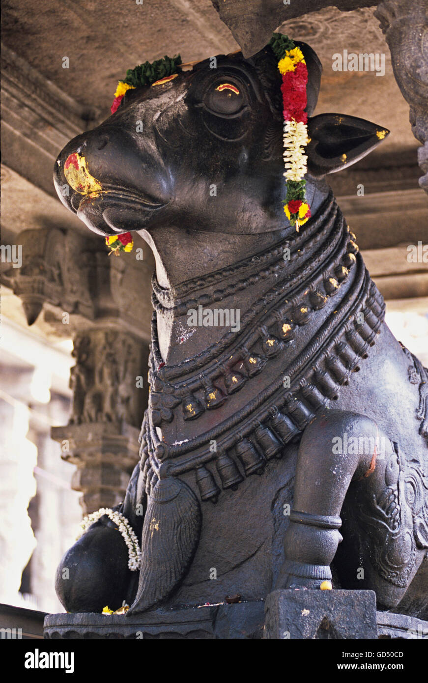 Nandaji Statue , Arunachaleswara Temple , Thiruvannamalai Stock Photo