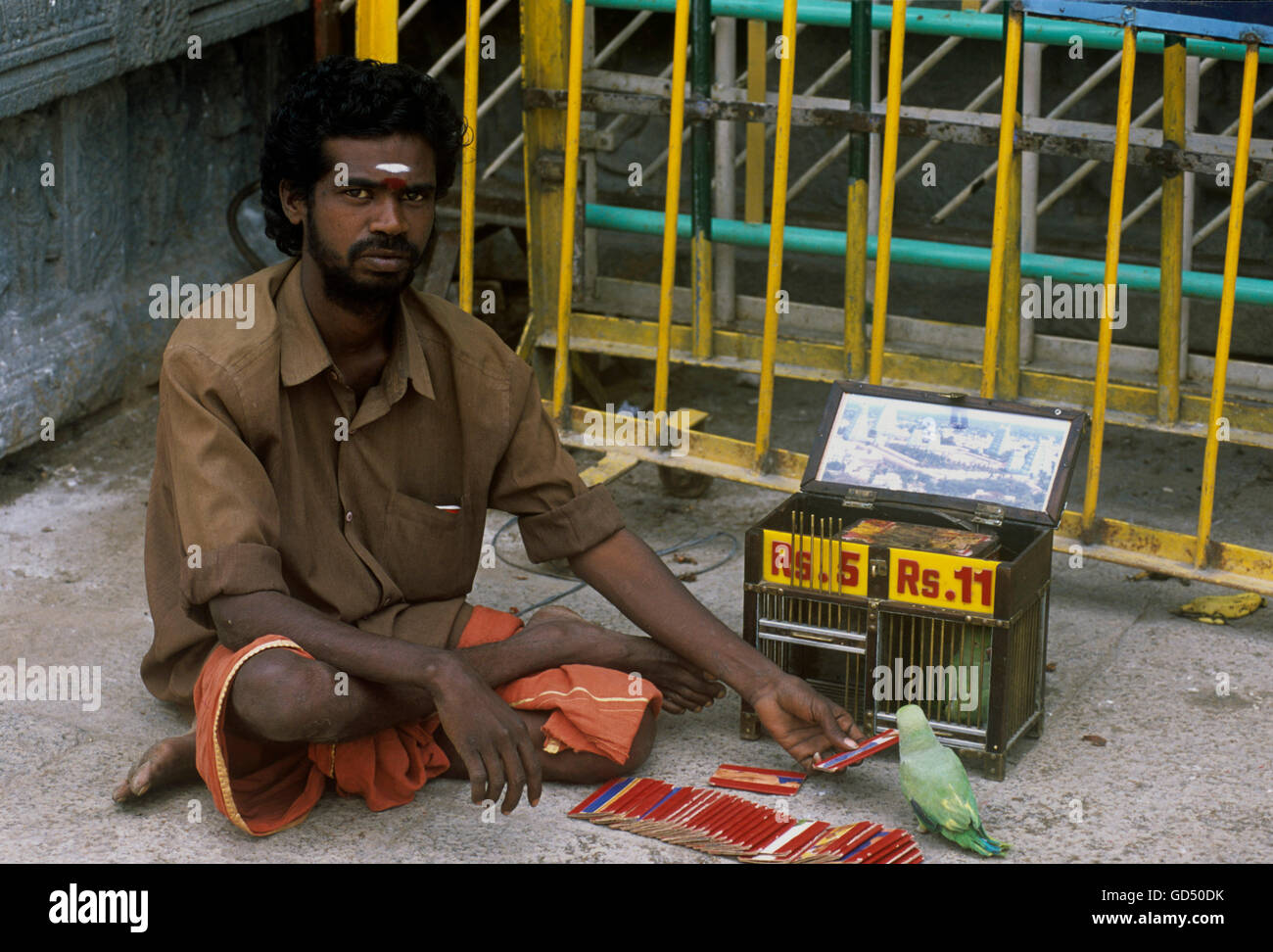 Fortune Teller Outside Temple , Tamil Nadu Stock Photo Alamy