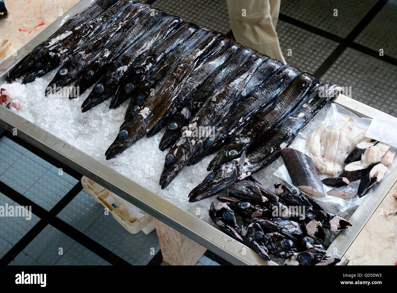 Schwarze Degenfische / (Aphanopus carbo), Fischstand, Markthalle in Funchal, Madeira, Portugal Stock Photo