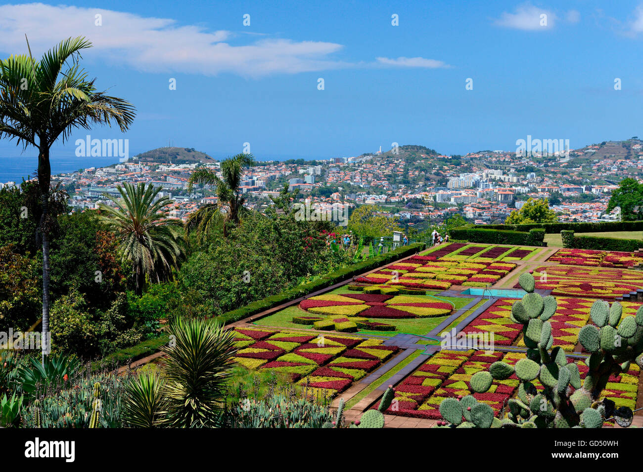 Botanischer Garten, Blick auf Funchal, Jardim Botanico da Madeira