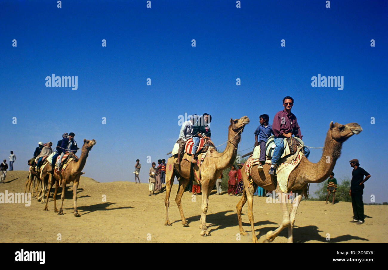 Camel safari hi-res stock photography and images - Alamy