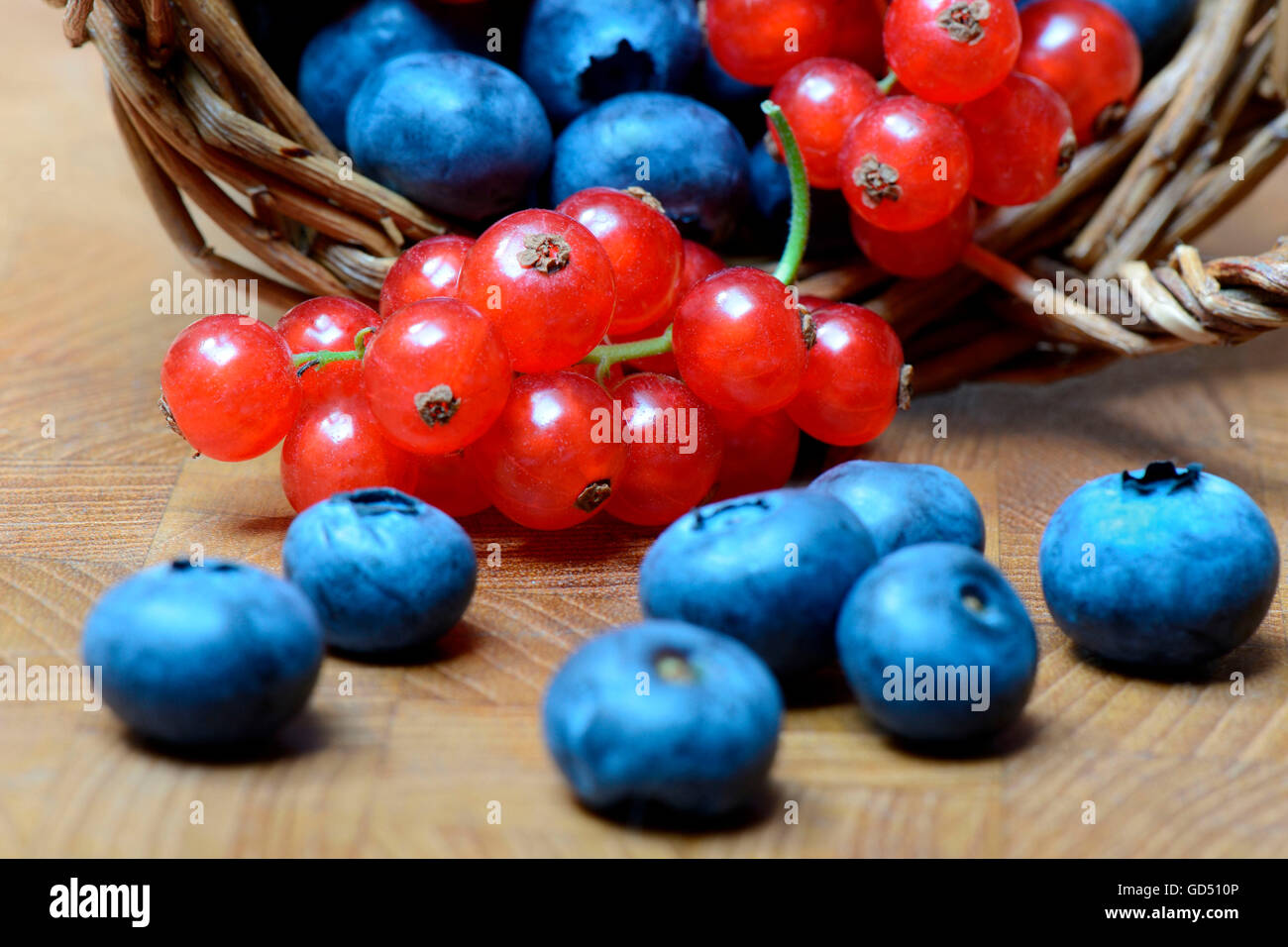 Johannisbeeren und Heidelbeeren in Korb, Kulturheidelbeere Stock Photo