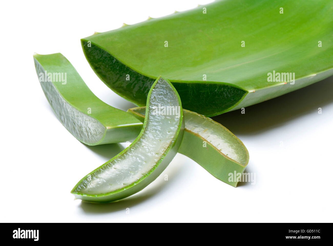 Blattscheiben der Aloe vera und angeschnittenes Blatt, Echte Aloe,  Blattgel, Gel Stock Photo - Alamy