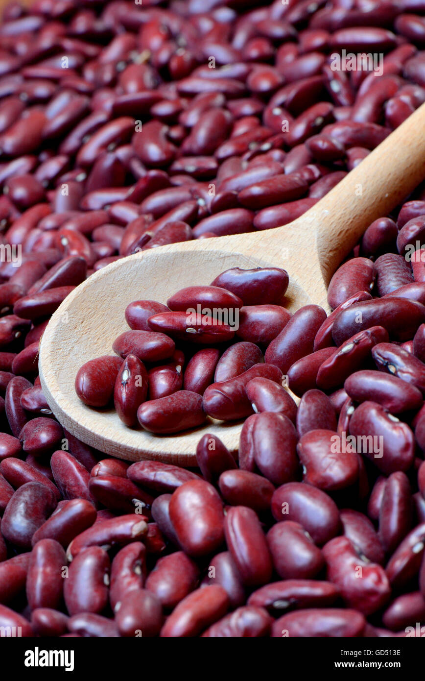 Dried kidney beans Stock Photo Alamy