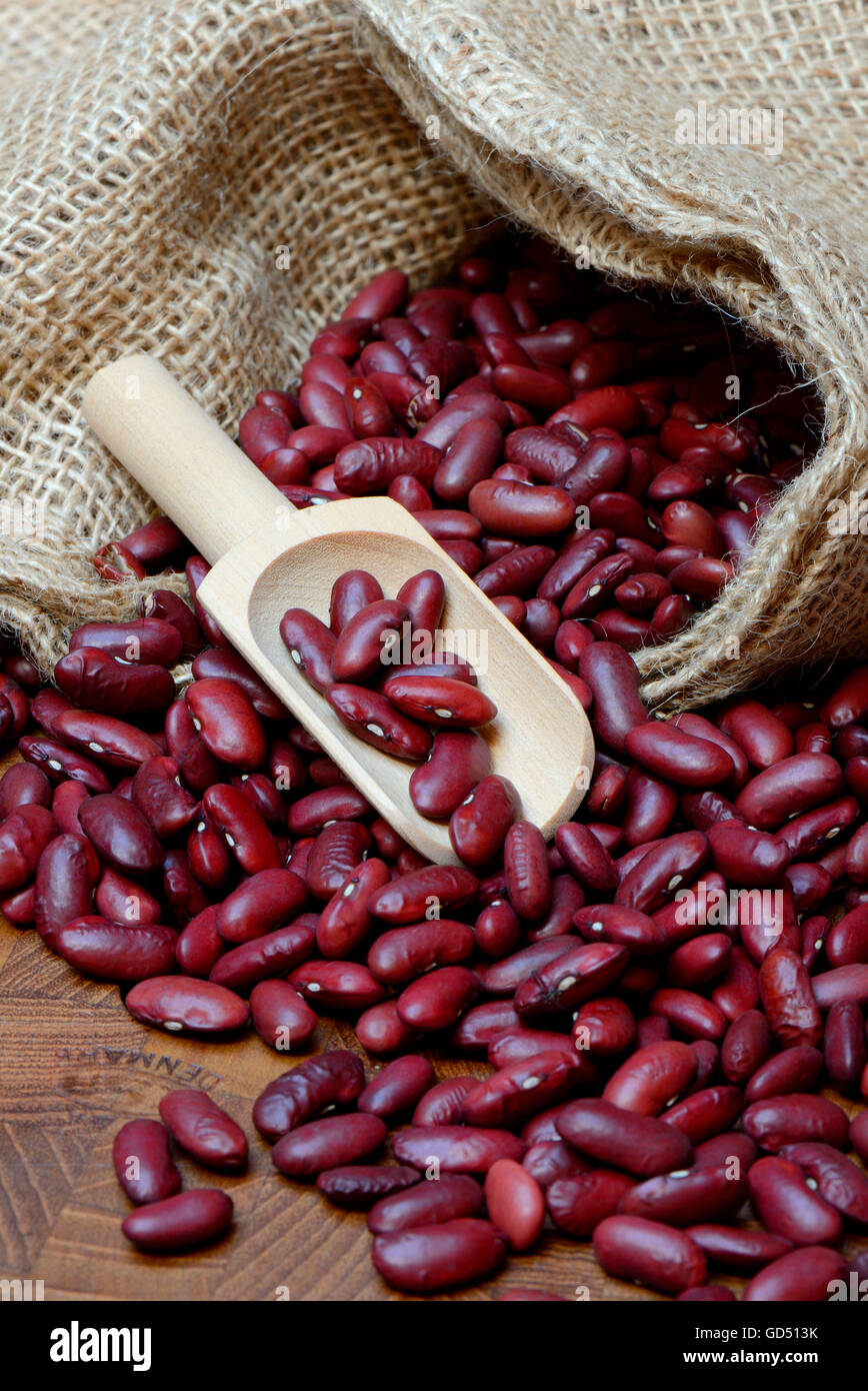 Dried kidney beans Stock Photo Alamy