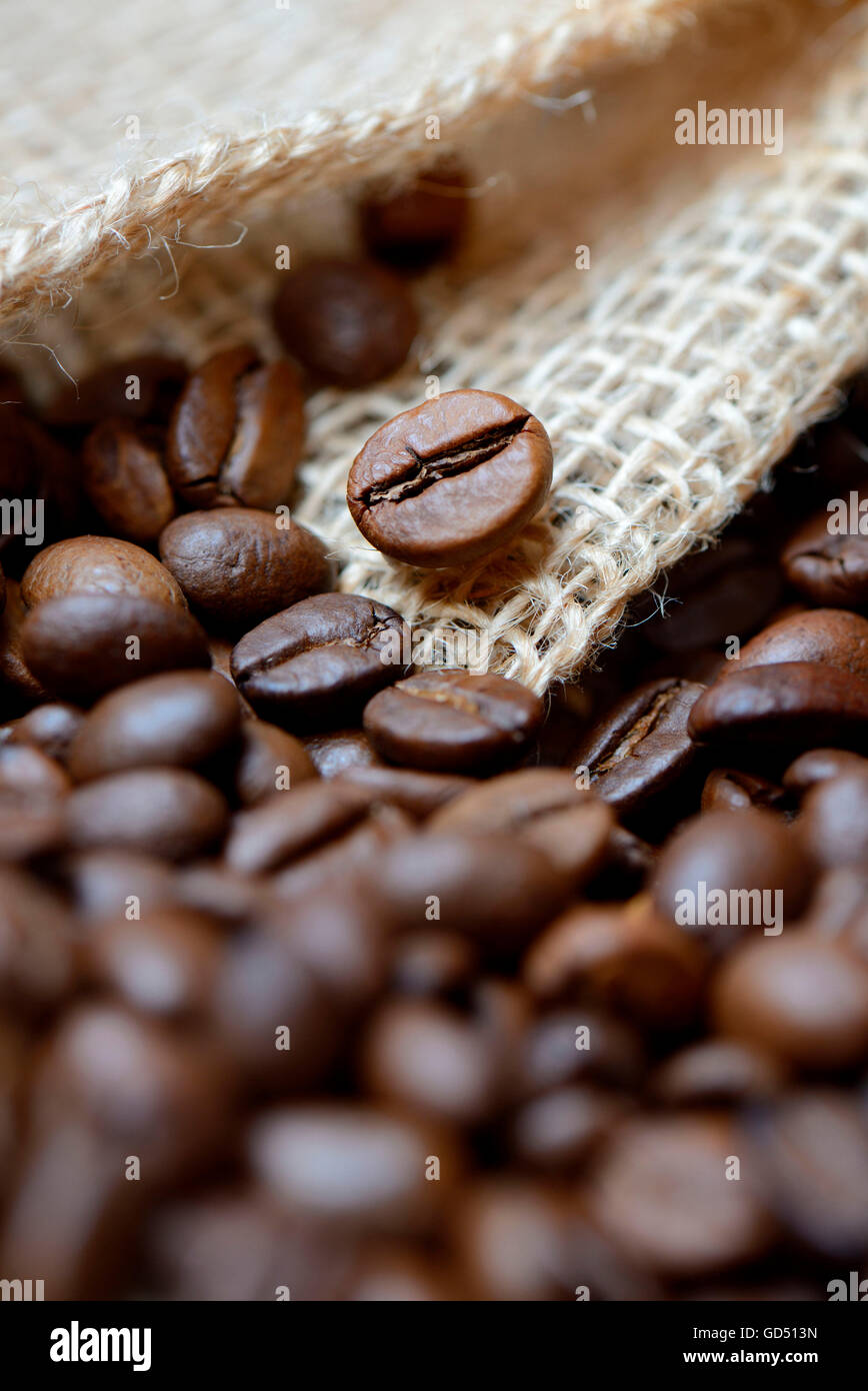 Kaffeebohnen, Coffea arabica, geroestet Stock Photo