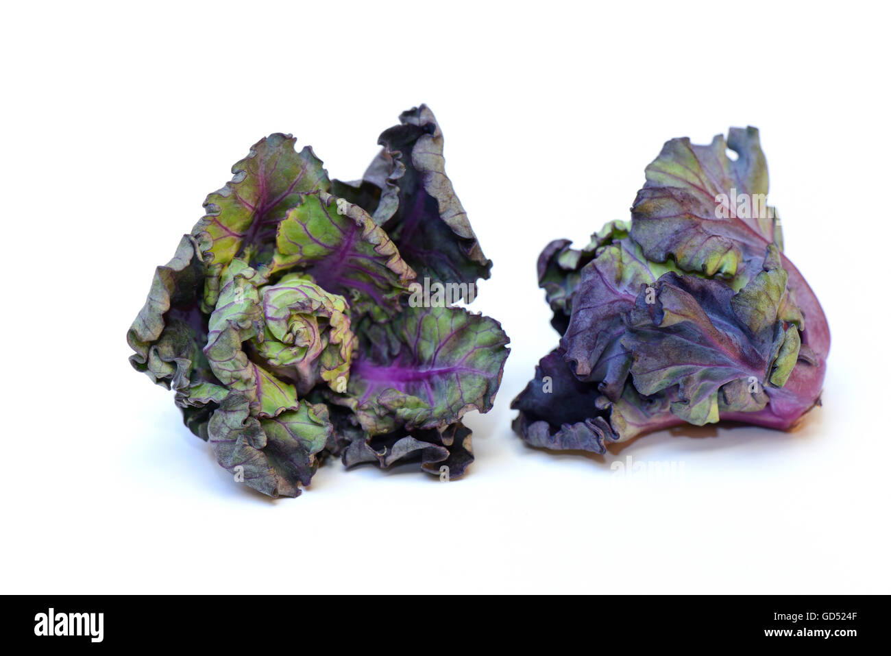 Flower Sprouts in Koerbchen, Kohlroeschen, Kohlröschen, Blumensprossen,  Kreuzung aus Rosenkohl und Gruenkohl Stock Photo - Alamy