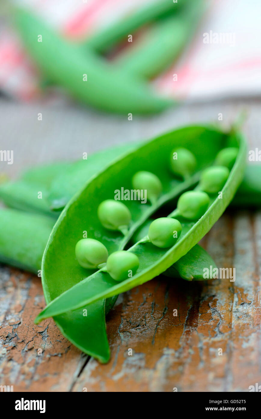 Garden pea, opened peapod / (Pisum sativum Stock Photo - Alamy