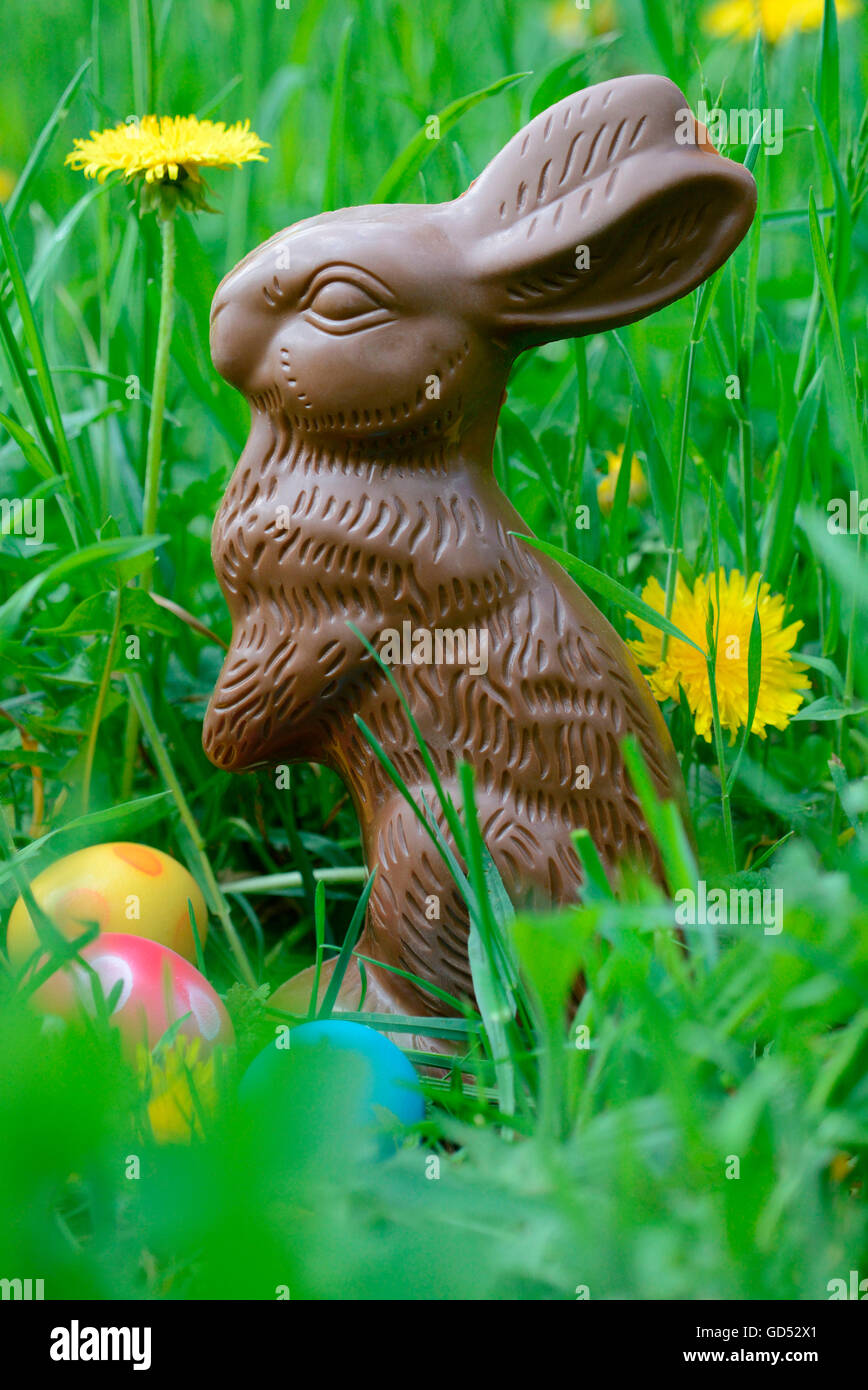 Chocolate Easter Bunny Stock Photo Alamy