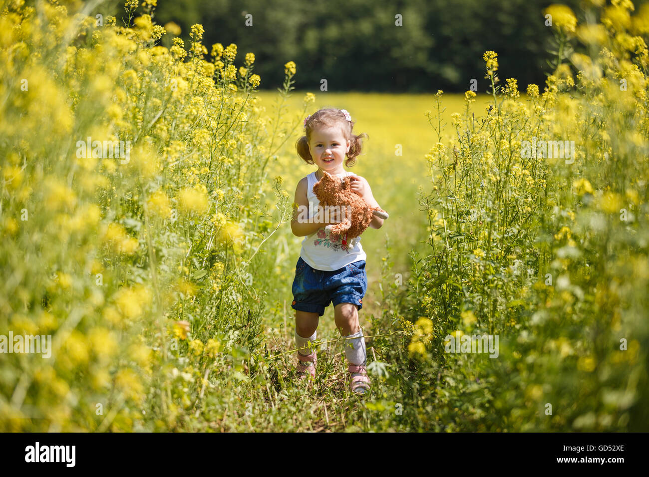Little girl holding soft toy in the rapeseed field, summer time Stock Photo
