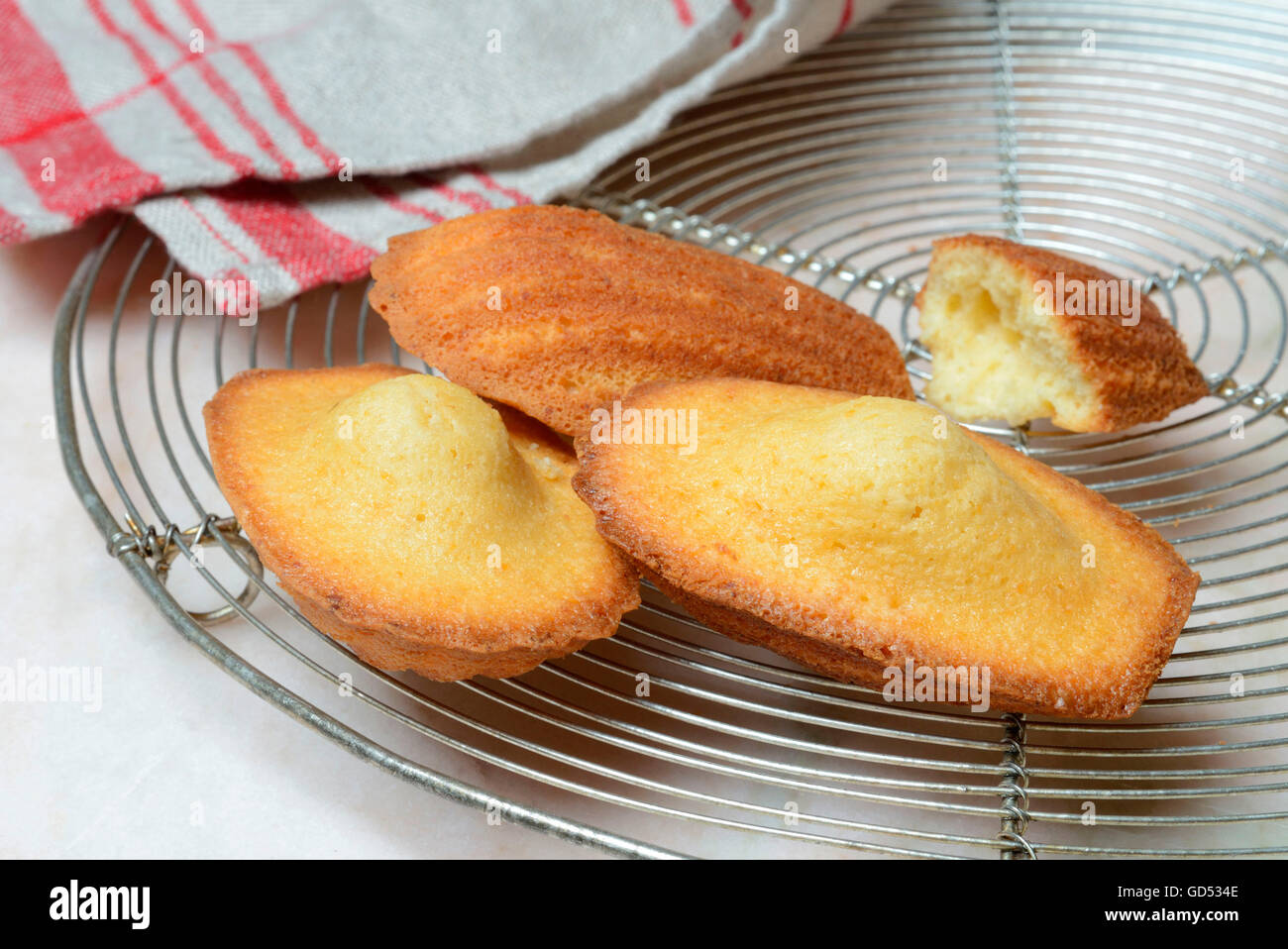 Madeleines on cooling rack Stock Photo