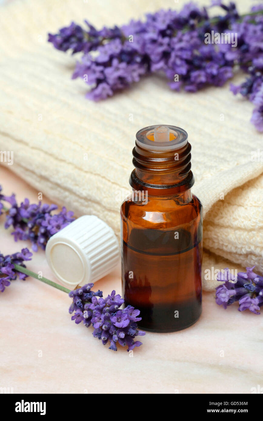 Lavender scented oil, Lavender oil Stock Photo