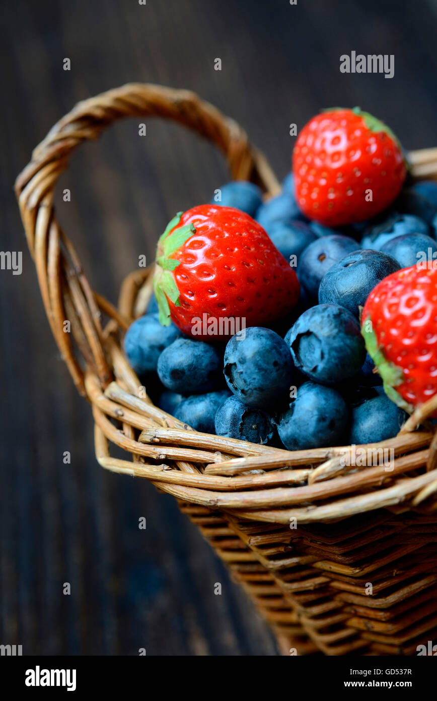 Strawberries and Blueberries, Fragaria x ananassa, Vaccinium myrtillus Stock Photo