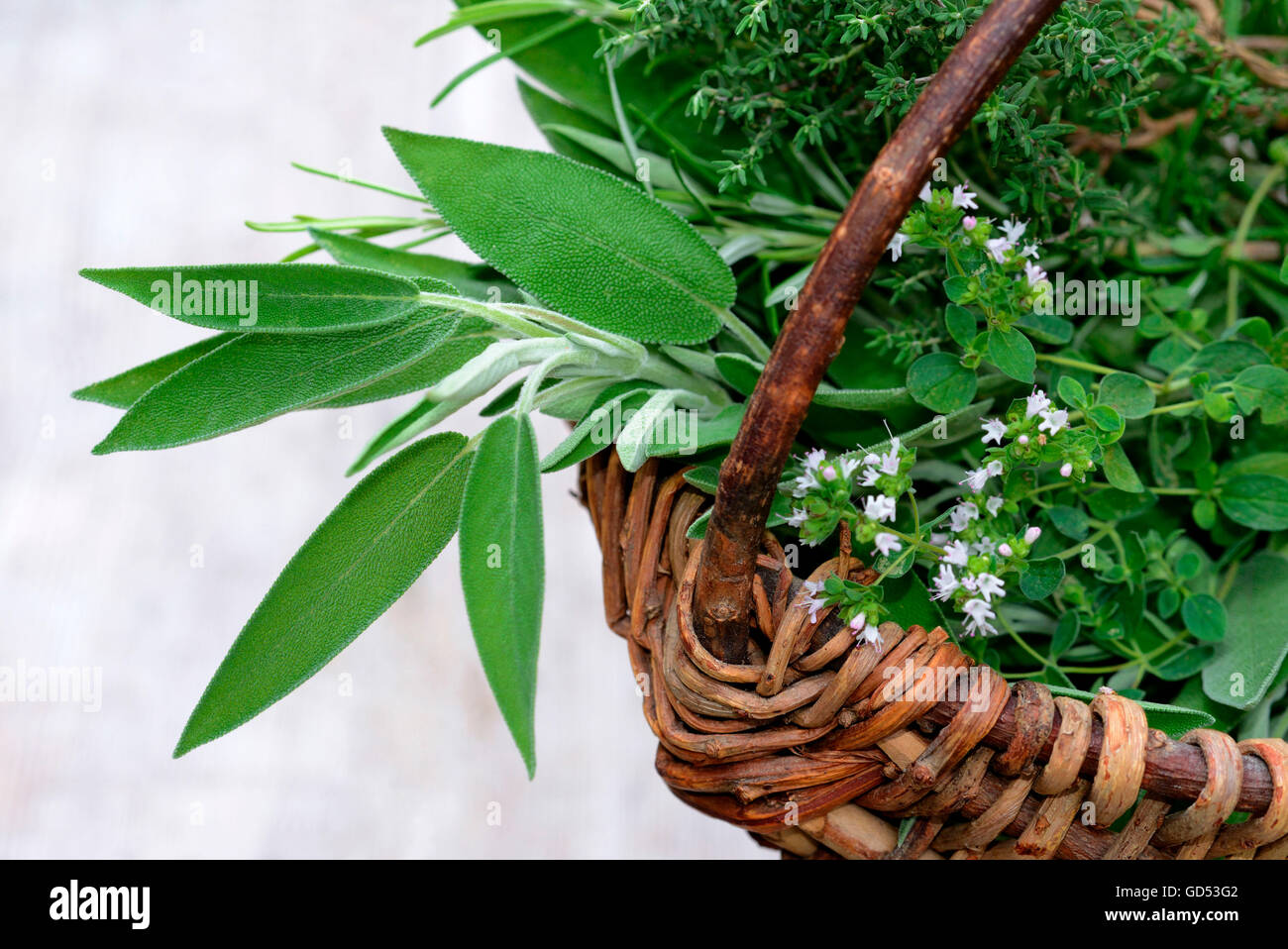 Basket with kitchen herbs, sage, rosemary, oregano, thyme Stock Photo