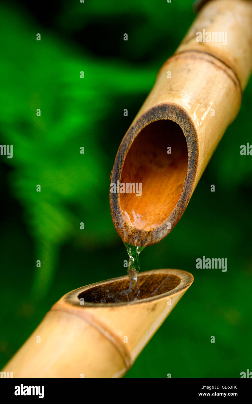 Japanese Bamboo fountain Stock Photo Alamy