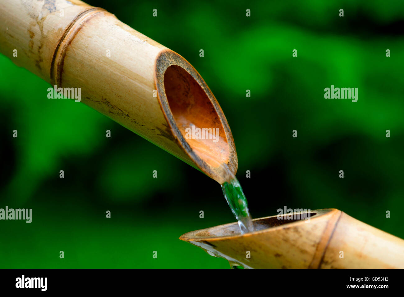 Japanese Bamboo fountain Stock Photo Alamy