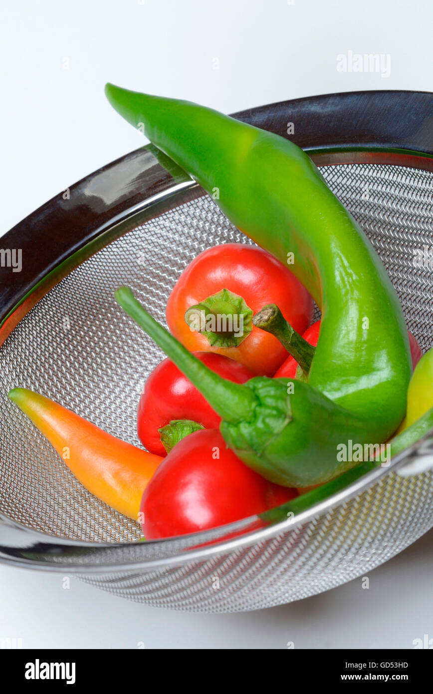 Peperoni, Peperoncini, Paprika, Chili, Paprikaschoten, Chilischoten, Pfefferschoten, Capsicum annuum Stock Photo