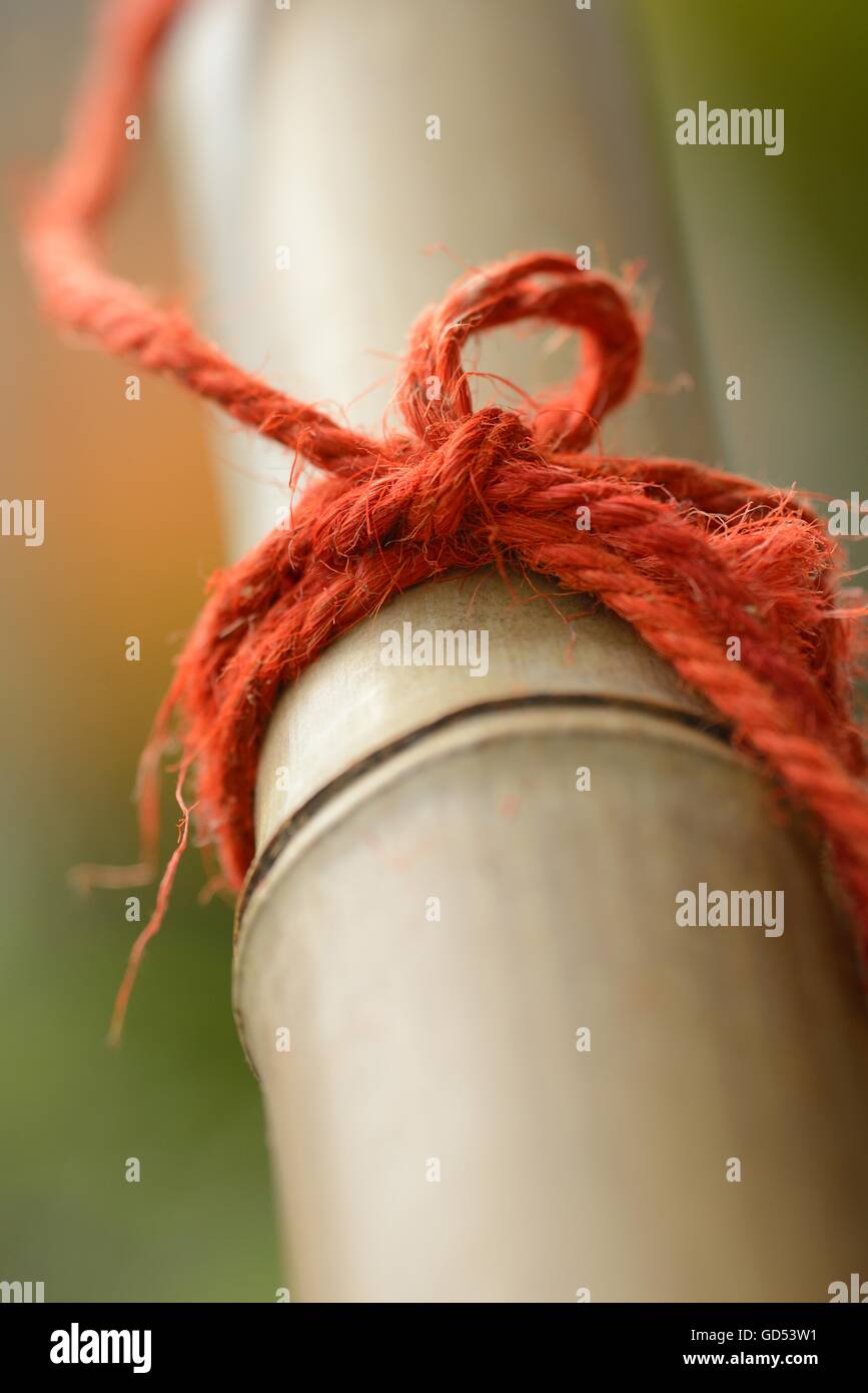 red cord at bamboo cane Stock Photo