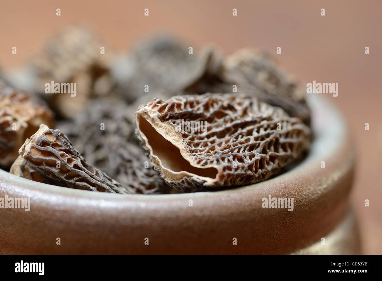 dried morels / (Morchella conica Stock Photo Alamy
