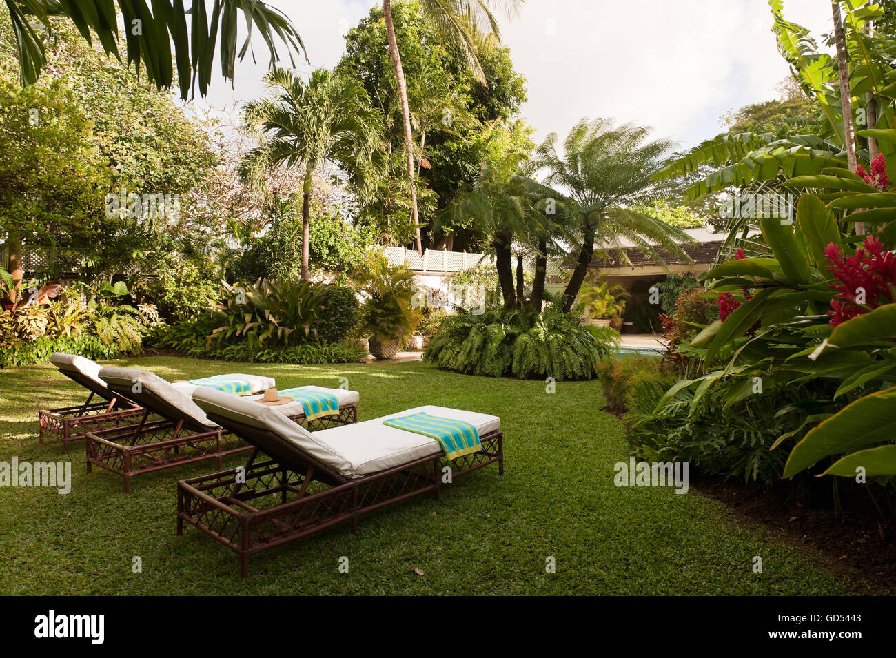 Bamboo sunloungers in garden of Leamington House villa, Barbados Stock Photo