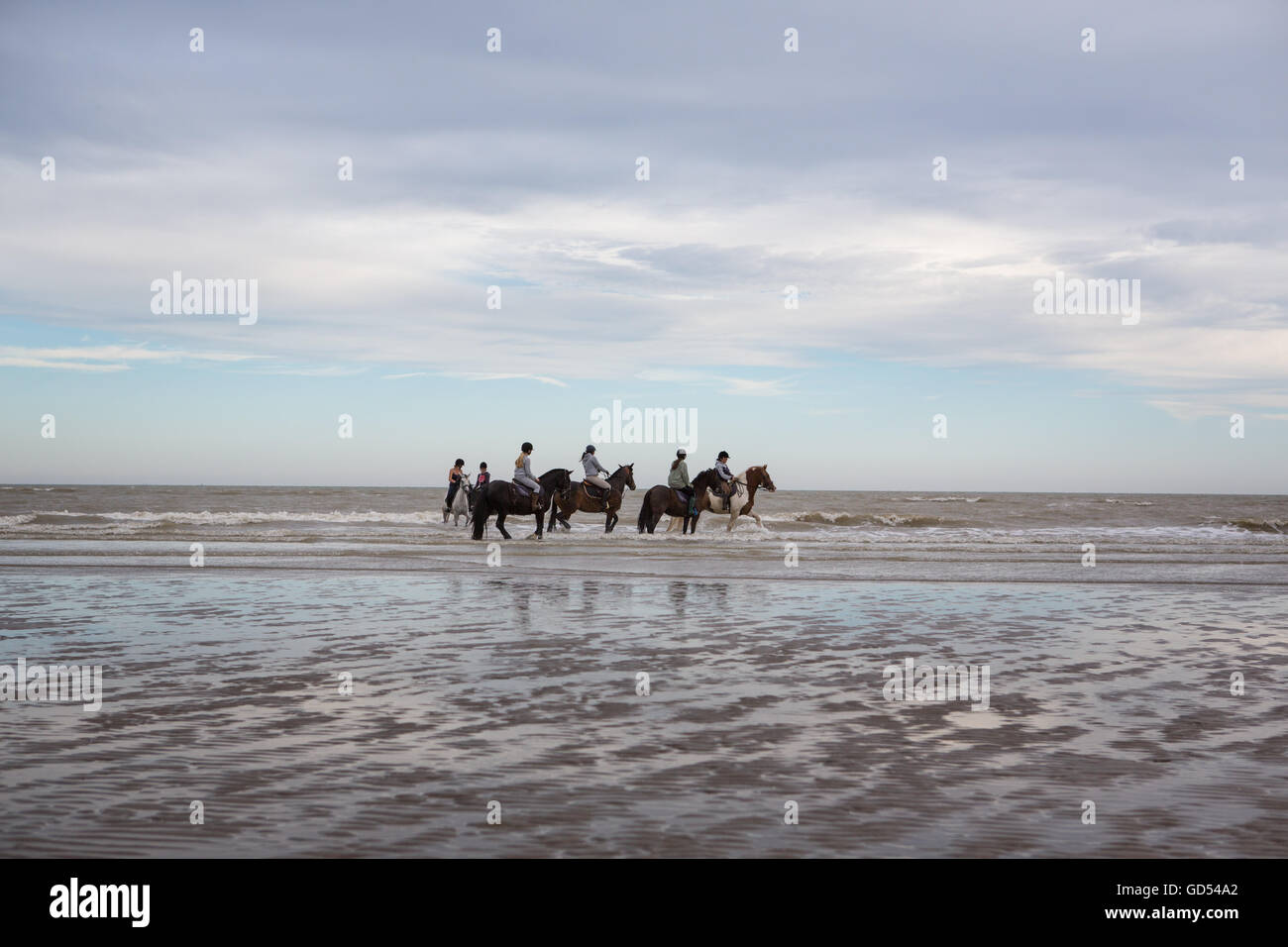 Riders gather to exercise horses on beach at Camber Sands, England, UK Stock Photo