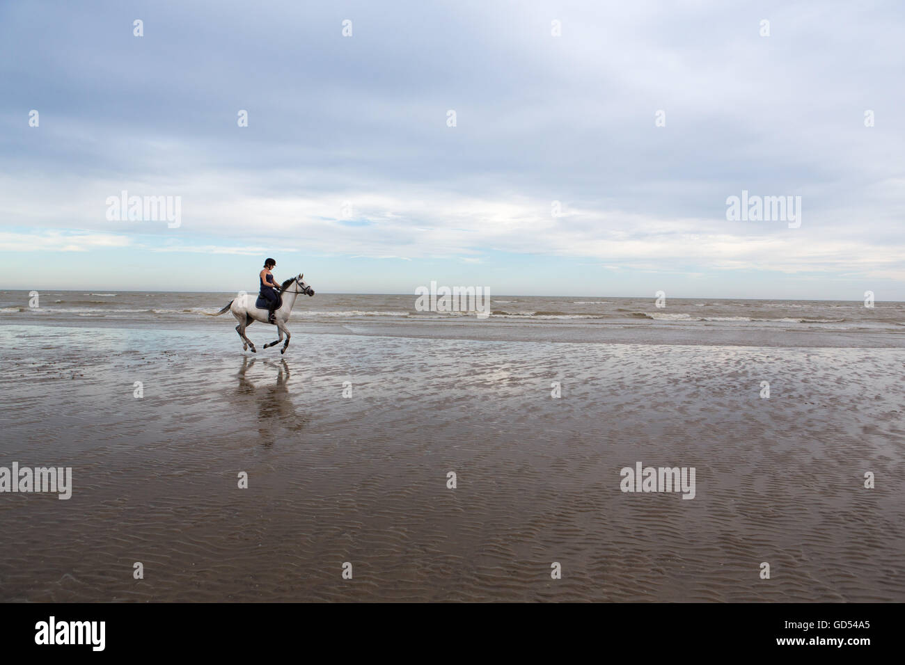 Rider exercises horse on Camber Sands Beach, England, UK Stock Photo