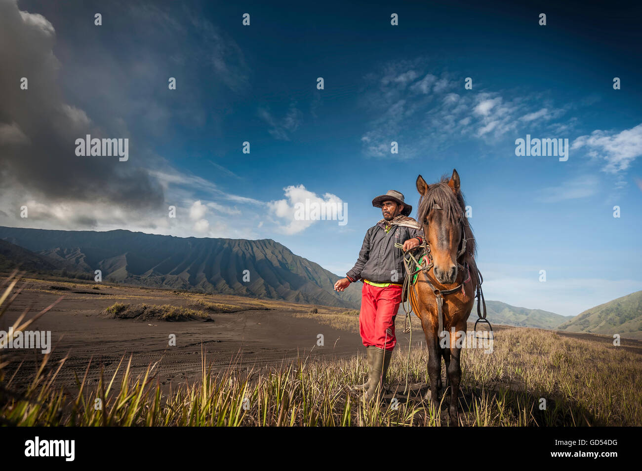 Horse Man in Mount Bromo, Stock Photo