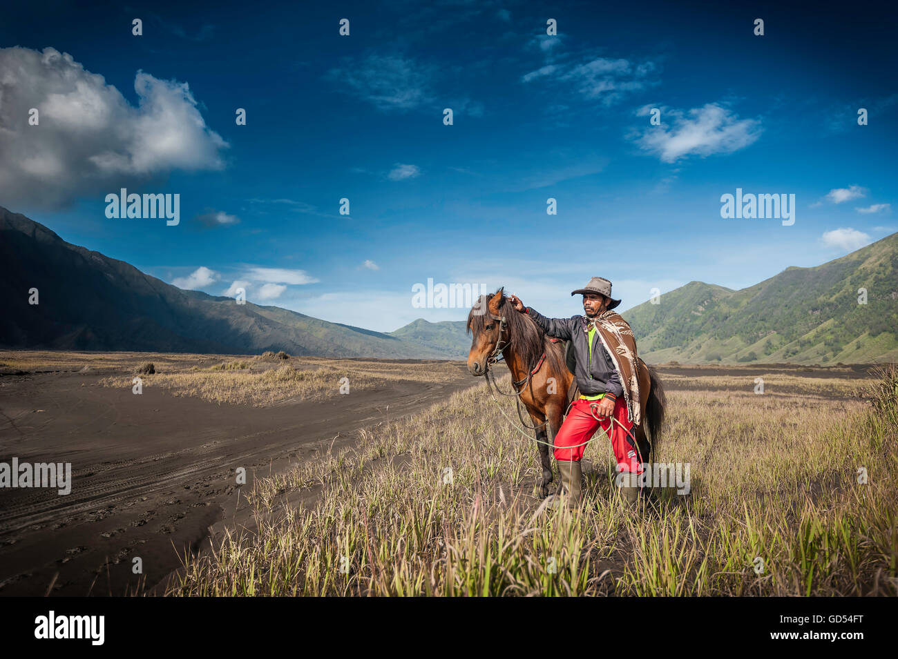Horse Man in Mount Bromo, Stock Photo