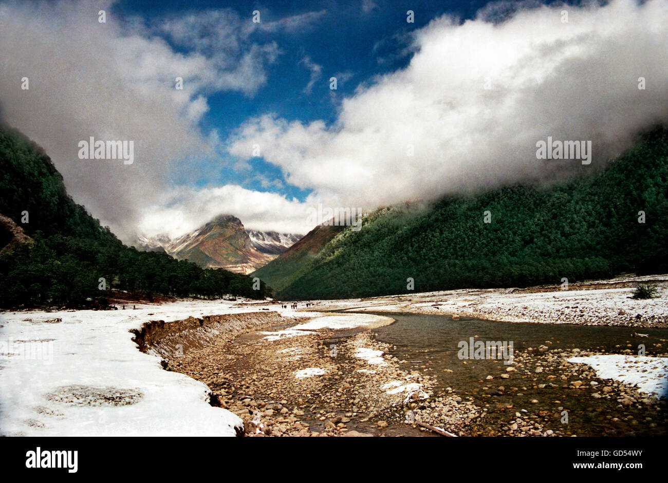 Yumtang Valley of North Sikkim in Winter Stock Photo