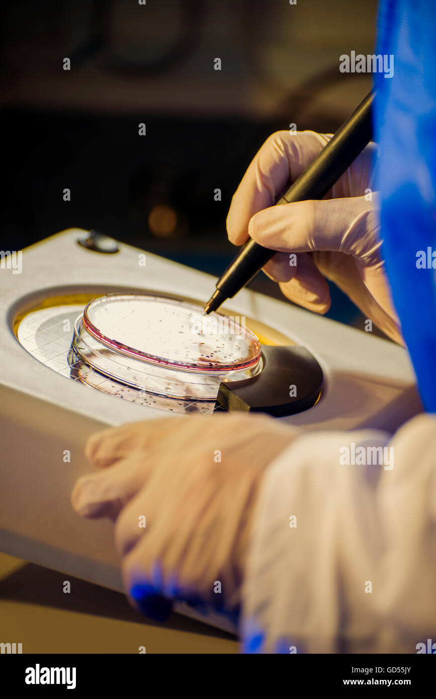 Biochemical test for bacteria hires stock photography and images Alamy