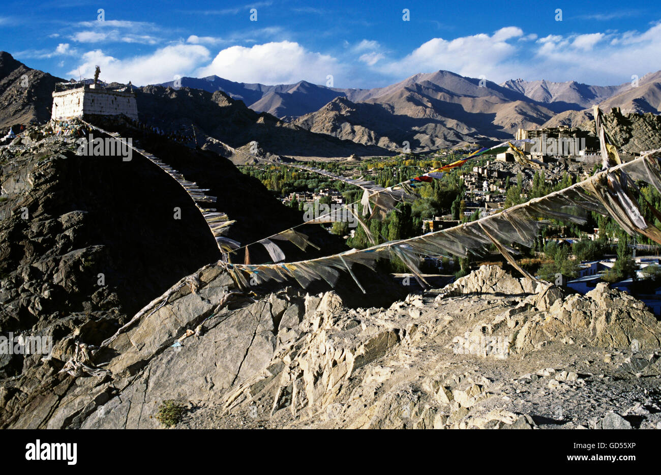 View of Leh city and its palace Stock Photo