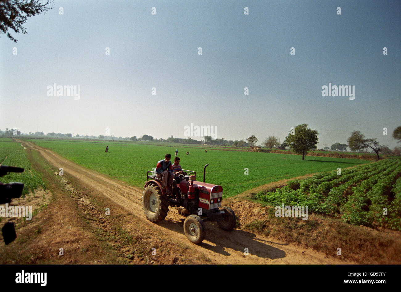 Indian tractor images hi-res stock photography and images - Alamy
