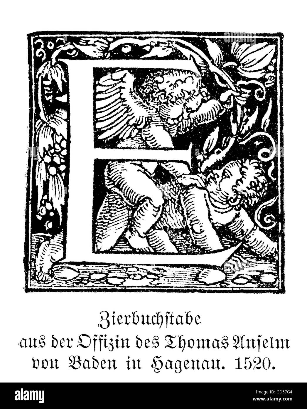 Swash letter E. 'Swash' were called the large decorated capital initials used in good typography at the beginning chapters until early XX century. From the typography workshop of Thomas Anselm von Baden in Hagenau, A.D. 1520. Stock Photo