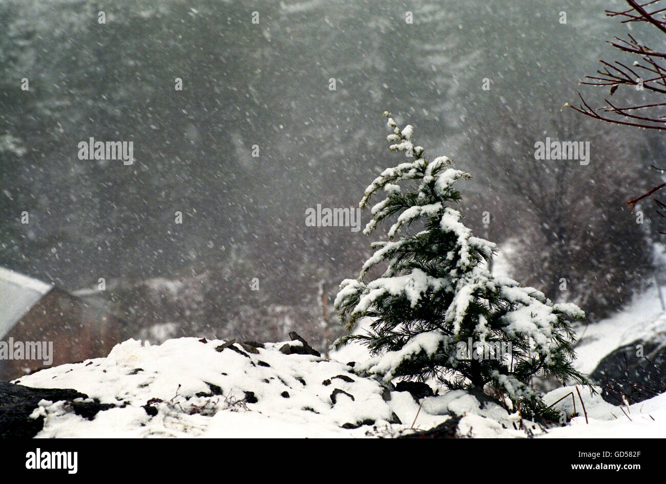Blanket of snow Stock Photo Alamy