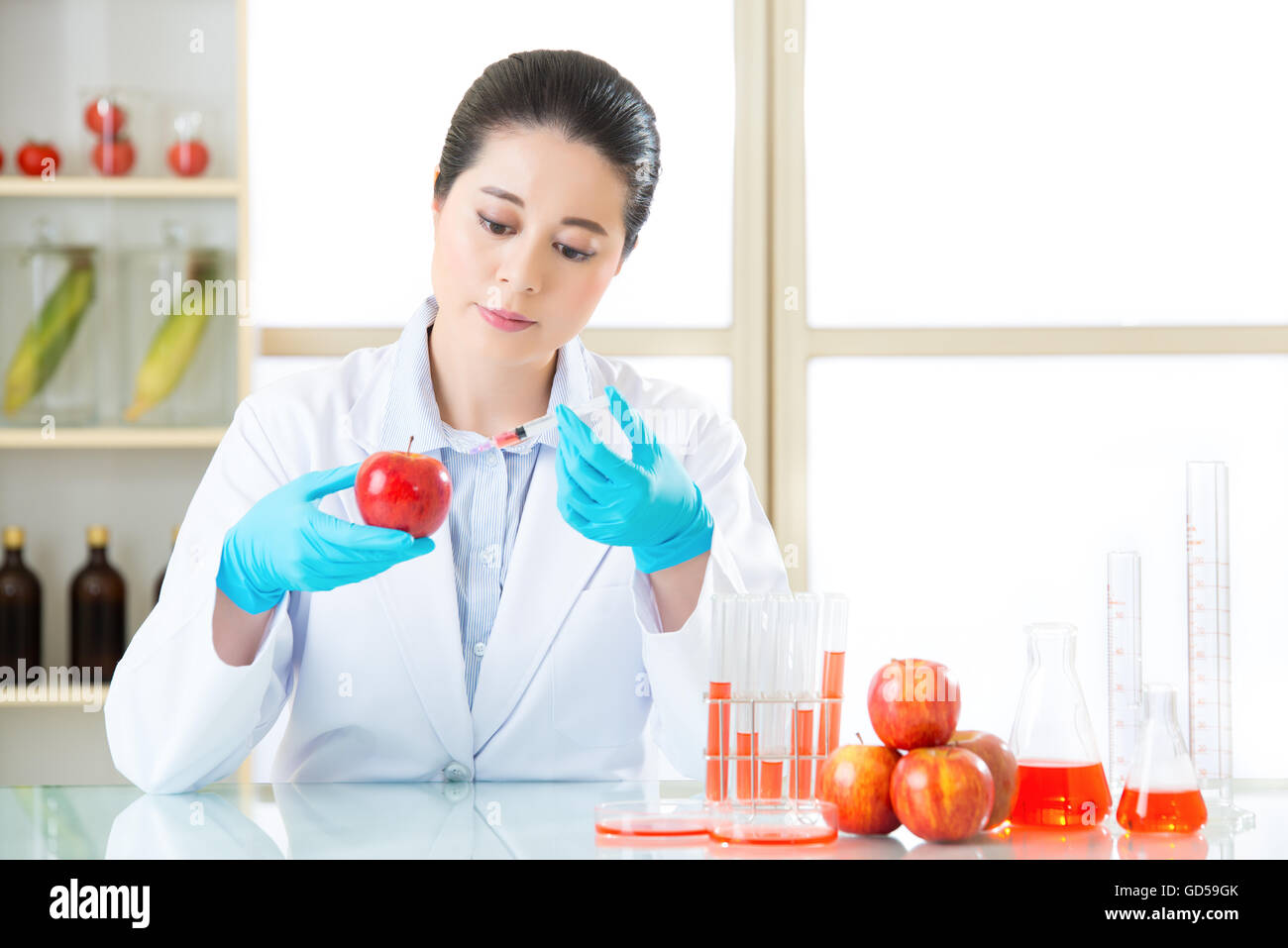 Researcher and microscope with a GMO apple in laboratory Stock Photo