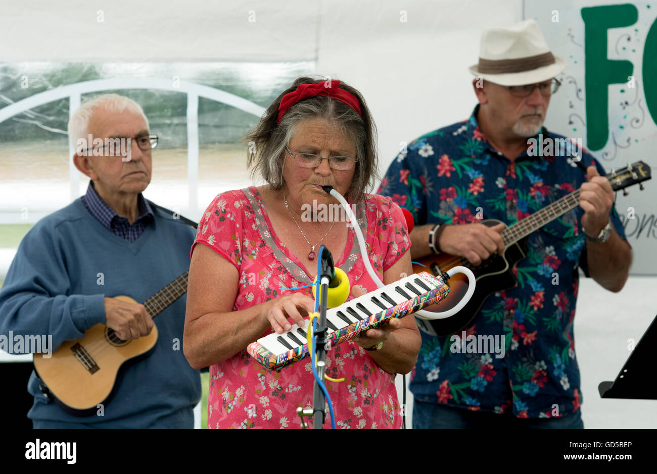 jorden Ni Dele Woman in a ukulele band playing a Hohner melodica Stock Photo - Alamy