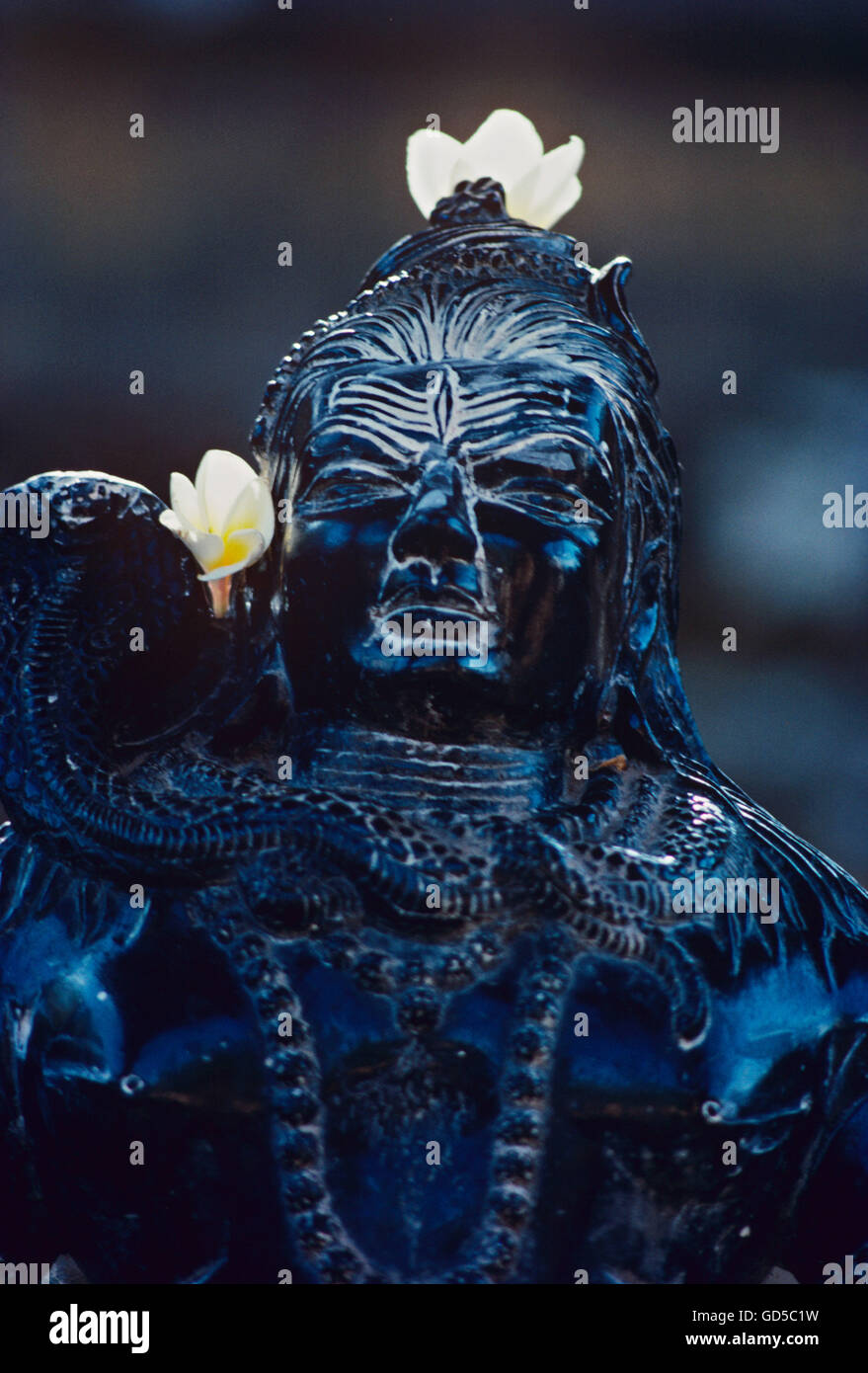 Sculpture of Shiva Stock Photo Alamy