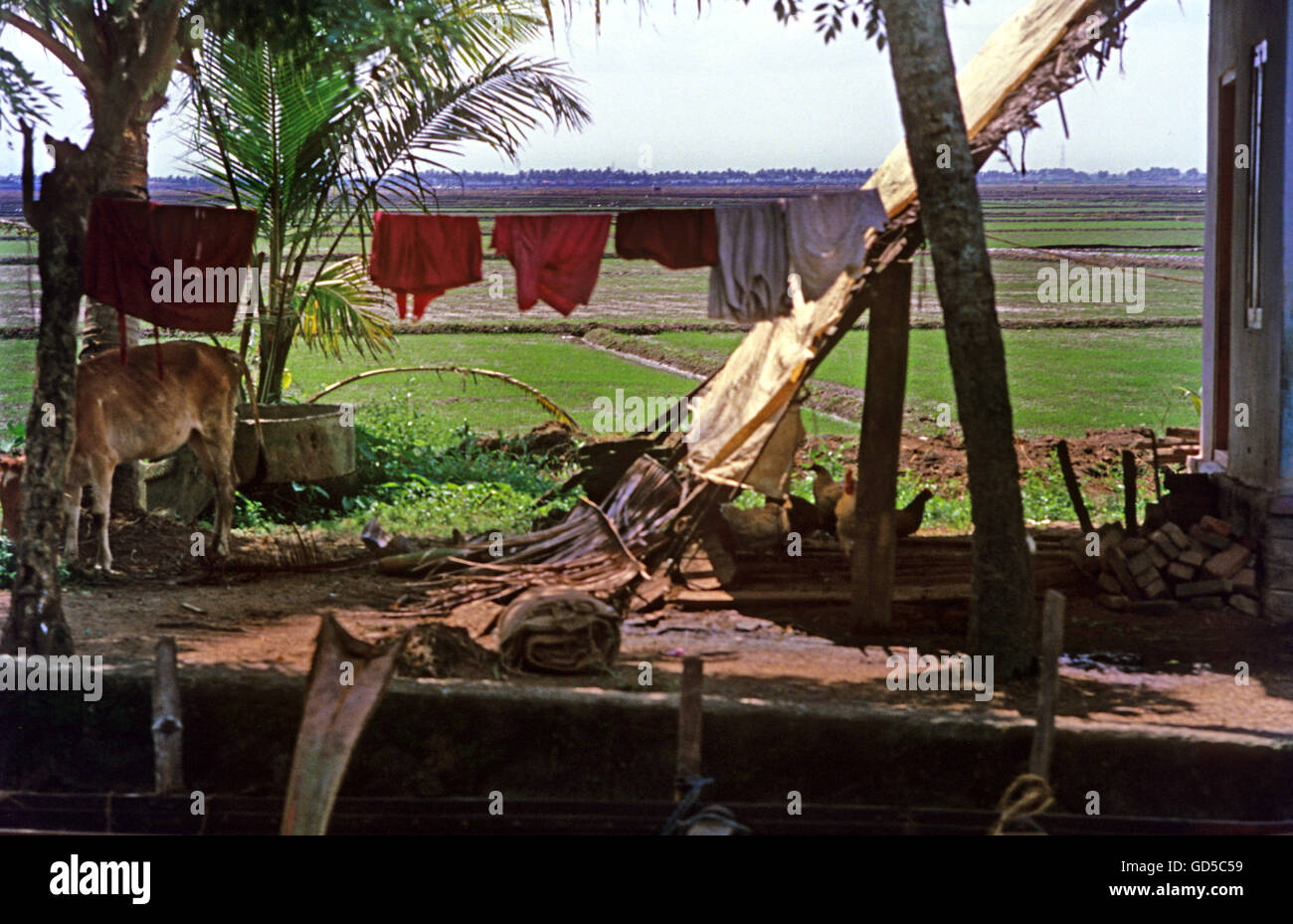 Kerala Hut Home Stock Photos & Kerala Hut Home Stock Images - Alamy