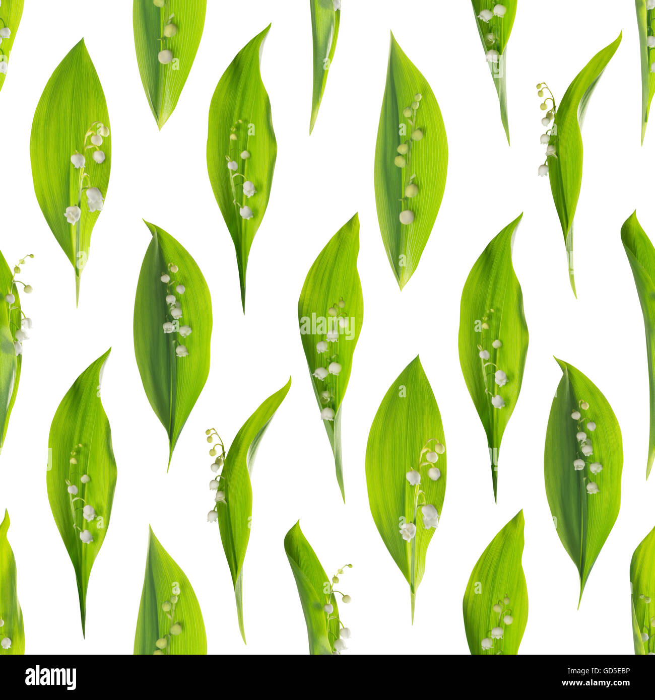 May Flower Pattern Seamless spring pattern, the mayflower, convallaria majalis, in 8 ...