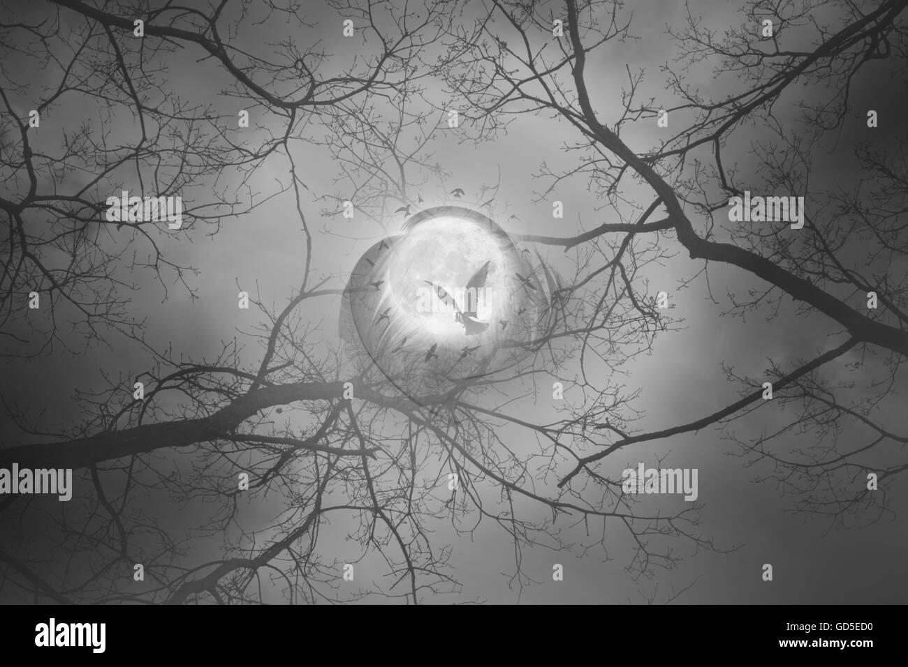 Mystic forest scene with a bird flying to a full moon, surrounded by a bird circle and feathers, with leafless branches. Stock Photo