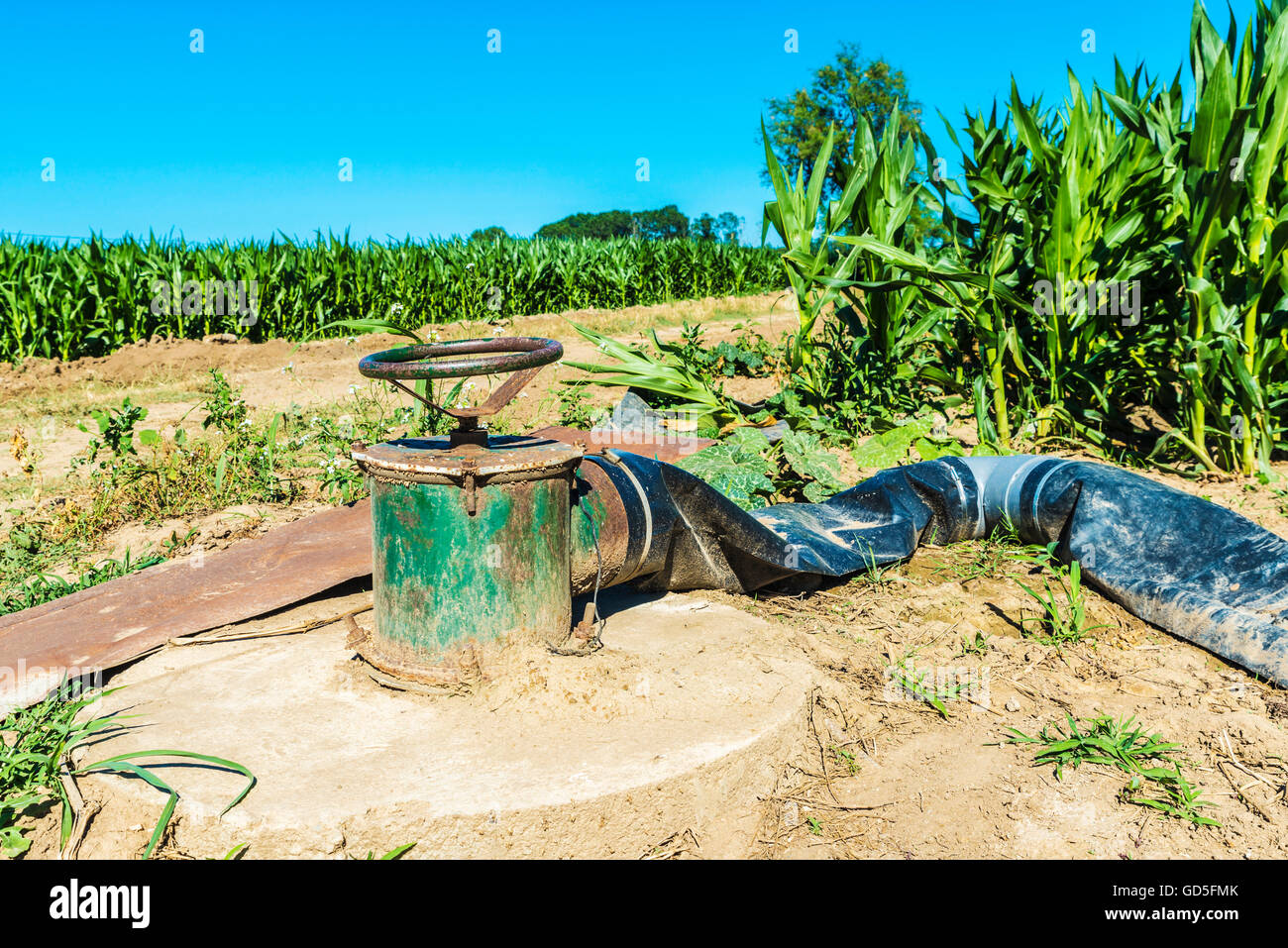 Irrigation system in a corn field in Girona, Catalonia, Spain Stock Photo