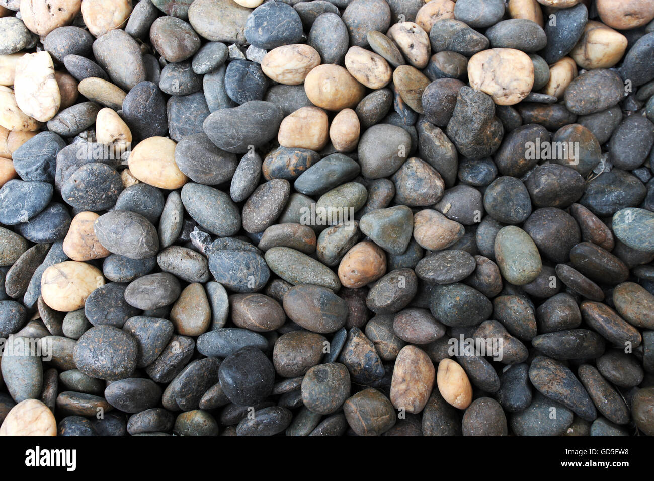 Round Flat Rocks Stock Photo, Picture and Royalty Free Image