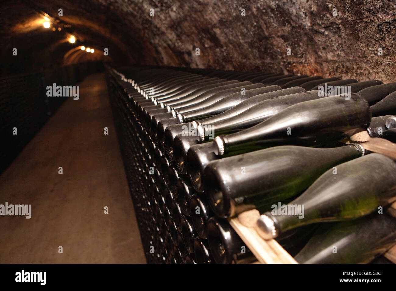 Cava bottles in a cellar of the Penedés wine region, Catalonia, Spain. Stock Photo