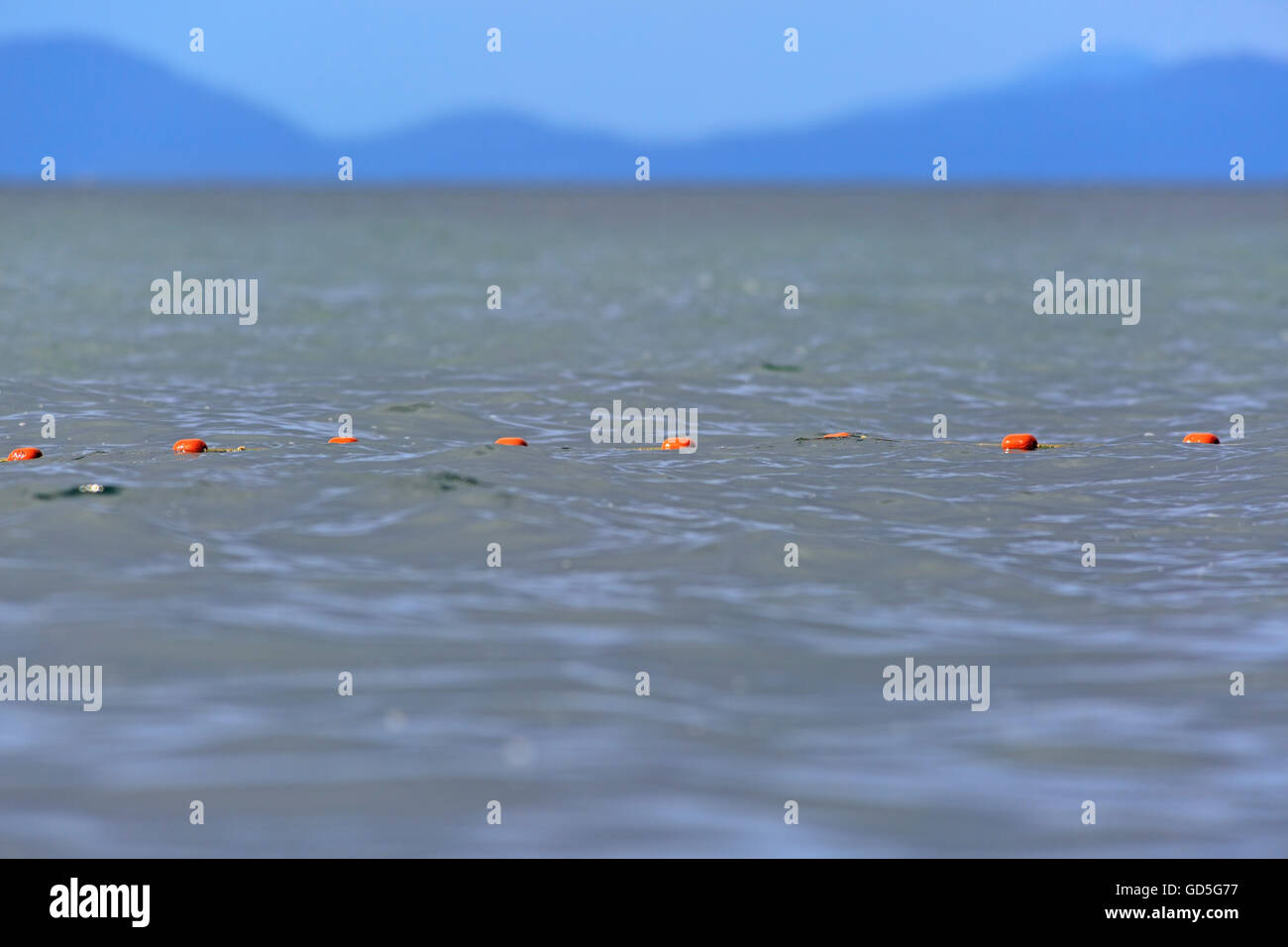 hires stock photography and images Alamy