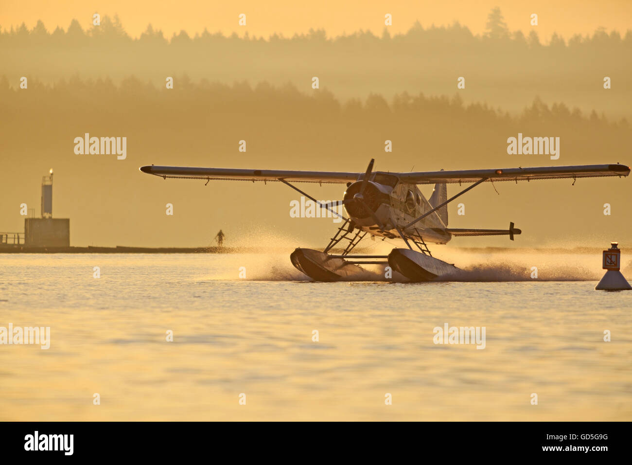 Beaver floatplane landing in Nanaimo harbor, Nanaimo, Vancouver Island, British Columbia Stock Photo