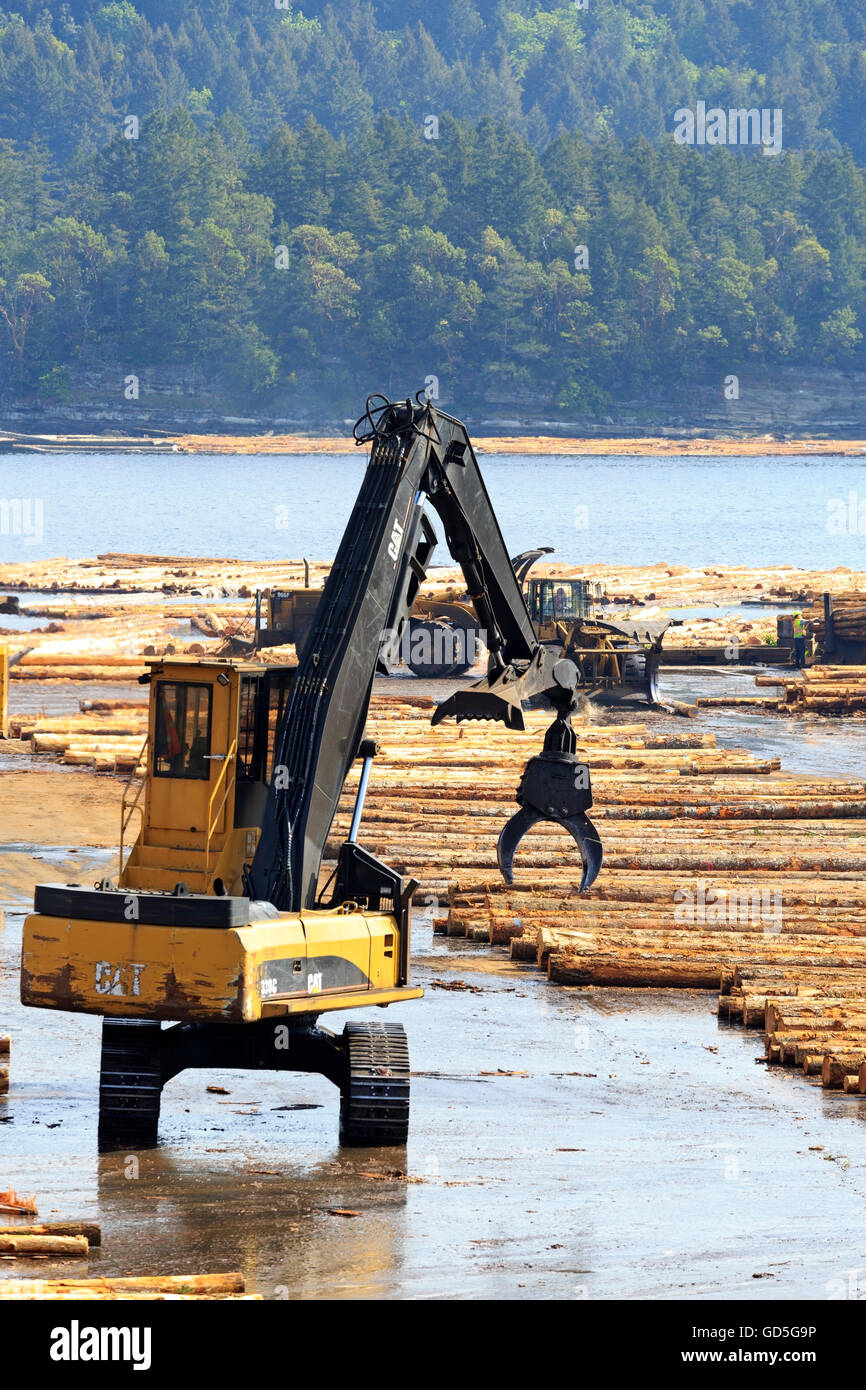 Equipment sorting logs at sawmill, Ladysmith, Vancouver Island, British